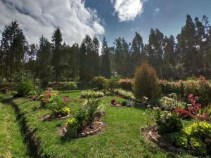 a garden with many different flowers and plants at Libélula Cabaña- Alojamiento rural in Duitama