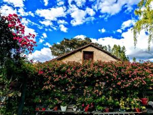 杜伊塔馬的住宿－Libélula Cabaña- Alojamiento rural，树 ⁇ 前有鲜花的房子