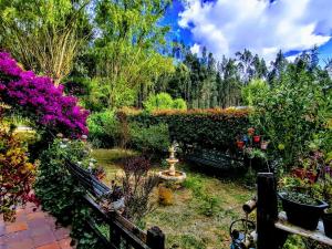 a garden filled with lots of flowers and a fountain at Libélula Cabaña- Alojamiento rural in Duitama