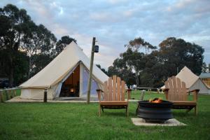 a tent is set up in a grassy area at Pine Country Caravan Park in Mount Gambier