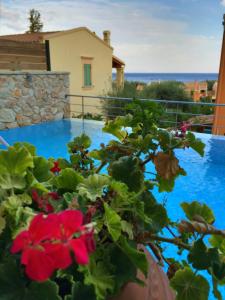 a plant in a vase next to a swimming pool at La Riviera Barbati Seaside Apartments & villas in Barbati
