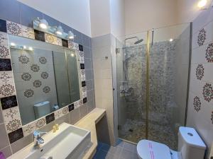 a bathroom with a shower and a sink and a toilet at La Riviera Barbati Seaside Apartments & villas in Barbati