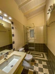 a bathroom with a sink and a toilet at La Riviera Barbati Seaside Apartments & villas in Barbati