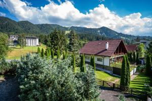 z powietrza widok na dom z drzewami i góry w obiekcie Pensiunea Sura Dacilor - Alex w mieście Poiana Brașov