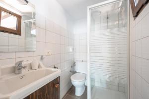 Un baño con inodoro, lavabo y ducha. en La Vicaría, en La Laguna 26 fotos más