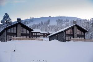 Mountain Lodge зимой