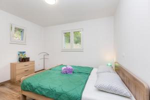 Łóżko lub łóżka w pokoju w obiekcie Holiday house TRANQUILLITY