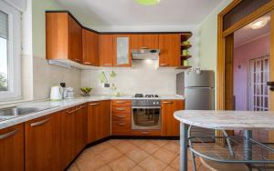 Kuchyňa alebo kuchynka v ubytovaní IVA house with apartment