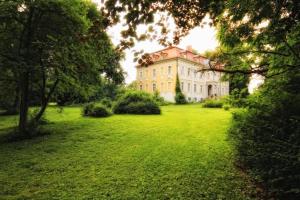 ein großes Haus auf einem grünen Rasen in der Unterkunft Schloss Stülpe in Stülpe