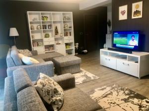 a living room with a blue couch and a television at Apartamentul Verde Silver Mountain Poiana Brașov in Poiana Brasov