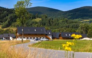 une maison à la montagne avec une voiture garée devant dans l'établissement Apartamenty Zew Natury w Starej Morawie 25z, à Stronie Śląskie
