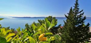 Príroda v okolí apartmánu