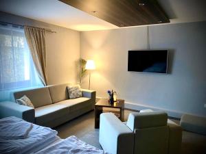 Telewizja i/lub zestaw kina domowego w obiekcie Hotel & Restaurant Pod Kaštany