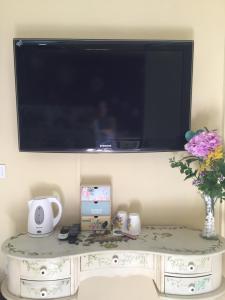 una televisione sopra un tavolo con un vaso di fiori di Cool Garden and Suite a Mairena del Aljarafe
