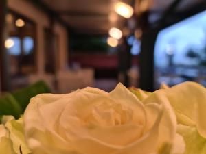 Fotografie z fotogalerie ubytování Hotel Sabra v destinaci Senigallia