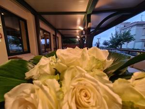 Fotografie z fotogalerie ubytování Hotel Sabra v destinaci Senigallia