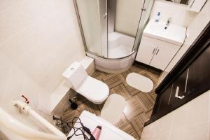 a bathroom with a toilet and a shower and a sink at Apartment Romantic Никитина 107 in Barnaul