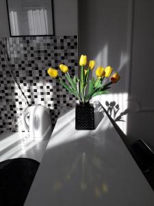 Gallery image of Apartment Dunja NS in Novi Sad