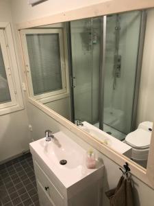 a bathroom with a sink and a mirror and a toilet at Villa Saagala by Tornio River in Tornio