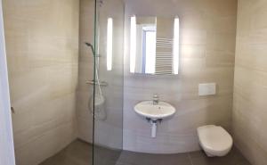 uma casa de banho com um lavatório, um chuveiro e um WC. em HSH Solothurn - Junior Suite LEHN Apartment in Oensingen by HSH Hotel Serviced Home em Oensingen