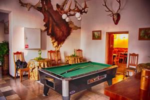 a living room with a pool table in it at Hotel Zamek Karnity in Miłomłyn
