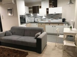 Kuchnia lub aneks kuchenny w obiekcie VIP Apartamenty Białystok