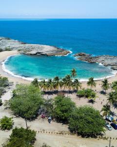 an aerial view of a beach with palm trees and the ocean at Atenas City Inn in Manati