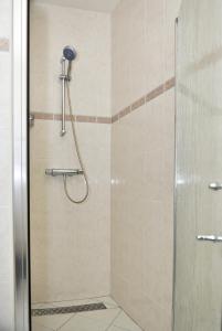 W łazience znajduje się prysznic ze szklanymi drzwiami. w obiekcie Levenslust Hulshorst w mieście Hulshorst