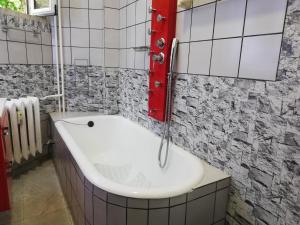 Phòng tắm tại TOP CENTER COZY AND SPACIOUS APARTMENT