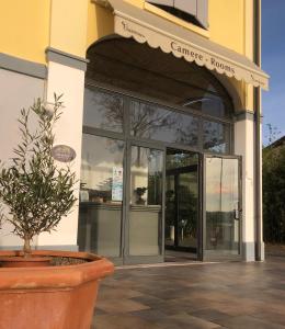 a store front with a potted plant in front of it at IL Borgo in Modena