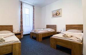 Letto o letti in una camera di Hotel Sýkora