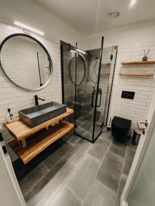 uma casa de banho com um lavatório e um chuveiro em Simply rooms em Slavkov u Brna