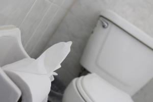 a white toilet with a paper butterfly on it at Hotel Florencia Poza Rica in Poza Rica de Hidalgo