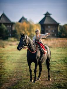 een jong meisje op een paard in een veld bij HOT SPRINGS in Soezdal