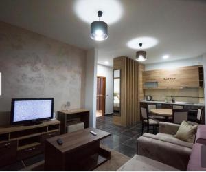 TV a/nebo společenská místnost v ubytování Zlatibor Hills Lux Apart MN