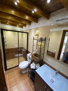 a bathroom with a toilet and a shower and a sink at Palmera 16 in Santa Lucía