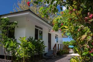 Zahrada ubytování Matira Sandy Home 658 DTO-MT