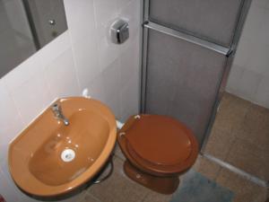a bathroom with a brown toilet and a sink at Pousada Seachegue in Ubatuba