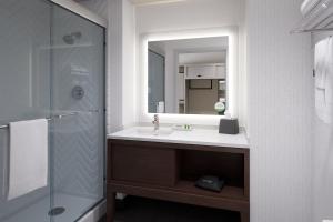 a bathroom with a sink and a mirror at Holiday Inn - Erie, an IHG Hotel in Erie