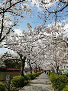 Fotografie z fotogalerie ubytování 自遊人の宿 v destinaci Odawara