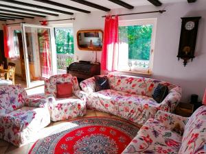 a living room with a couch and chairs and a tv at Walnut House in Herdwangen-Schönach