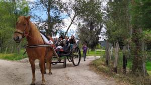 un caballo tirando de un carruaje lleno de gente en un camino de tierra en Cabañas Campestres Alcalá, en Paipa