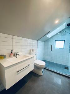 a bathroom with a toilet and a glass shower at The Barn in Lake Tekapo