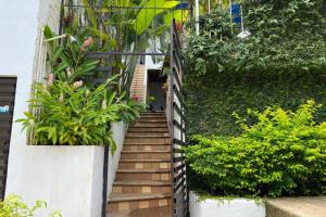 eine Treppe, die zu einem Gebäude mit Pflanzen führt in der Unterkunft Chacala Caracoles 6 pax AA con ALBERCA y PLAYA a 50 mts in Chacala