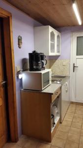 a kitchen with a microwave on top of a counter at Ferienwohnung Schlothauer 2 in Ruhla