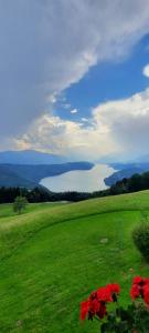 un campo verde con vistas a una masa de agua en Pension Barzaunerhof, en Fresach