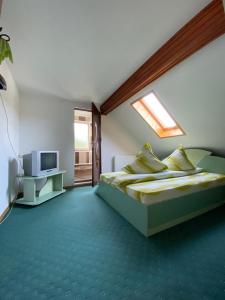 a hotel room with a bed and a television at Vila Lilica in Bran