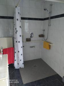 a bathroom with a shower with a shower curtain with stars at Ferienwohnung- Haus Anna in Papenburg
