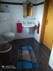a bathroom with a toilet and a sink and a mirror at Ferienwohnung- Haus Anna in Papenburg +8 photos