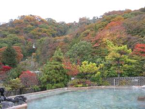 a swimming pool in front of a mountain with trees at Omori in Shibukawa